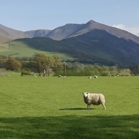 Canadian 37 Tatil Evi *