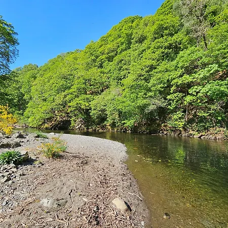 Tatil Evi Canadian 37 *